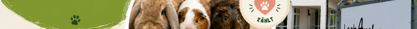 Gemeinsam helfen – unsere neue Unterstützung für das Tierheim Lech-Arche in Augsburg 🐾