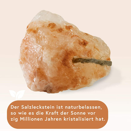 Hochwertiger Salzleckstein “Bergkristall” 8 - 10 Stück Leckstein mit Kordel, insgesamt ca. 1 kg, für Nagetiere