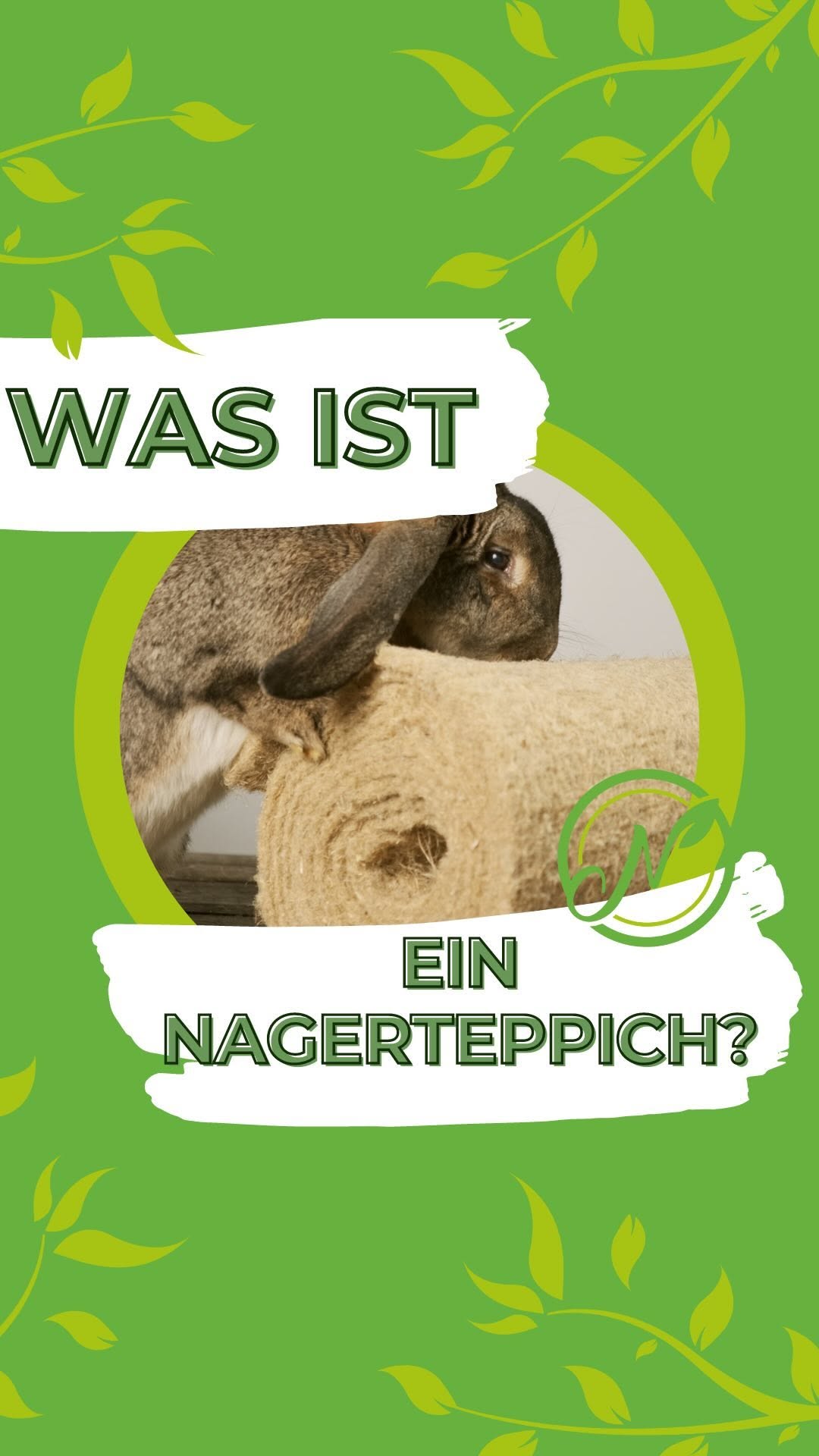 Was ist ein Nagerteppich? 🤔