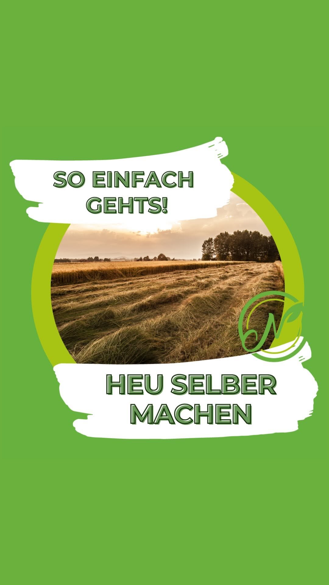 So einfach geht’s: Heu selber machen ☀️🌾