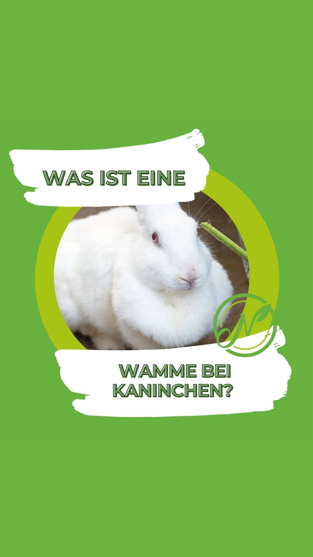 Was ist eine Wamme bei Kaninchen?