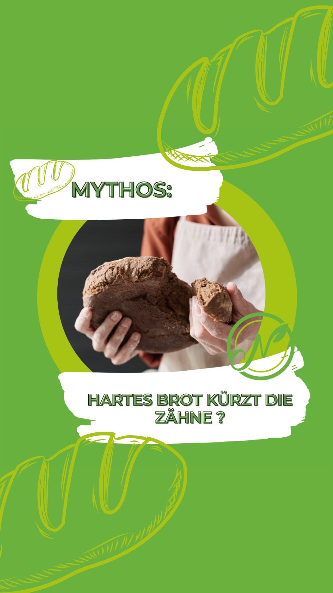 Mythos: Hartes Brot kürzt die Zähne bei Kaninchen und Meerschweinchen?