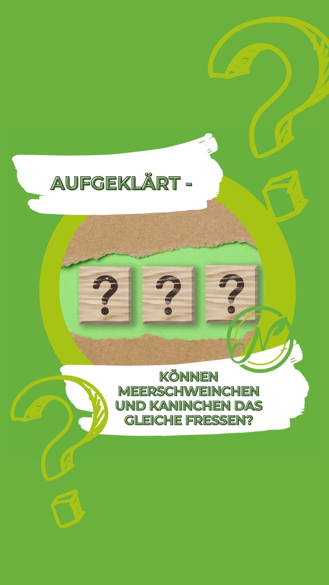 Aufgeklärt: Können Meerschweinchen und Kaninchen das gleiche fressen?