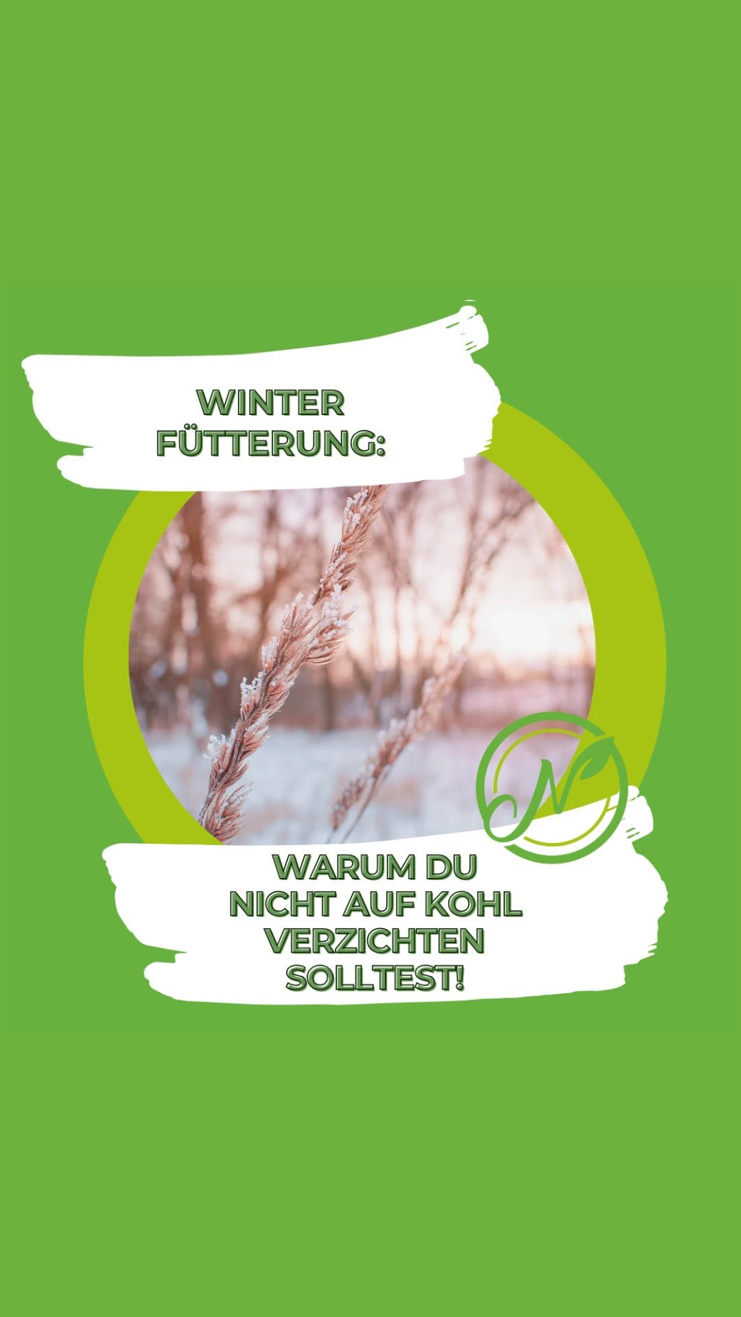 Winterzeit = Kohlzeit! 🥬❄️ So bleibt dein Kaninchen fit und happy