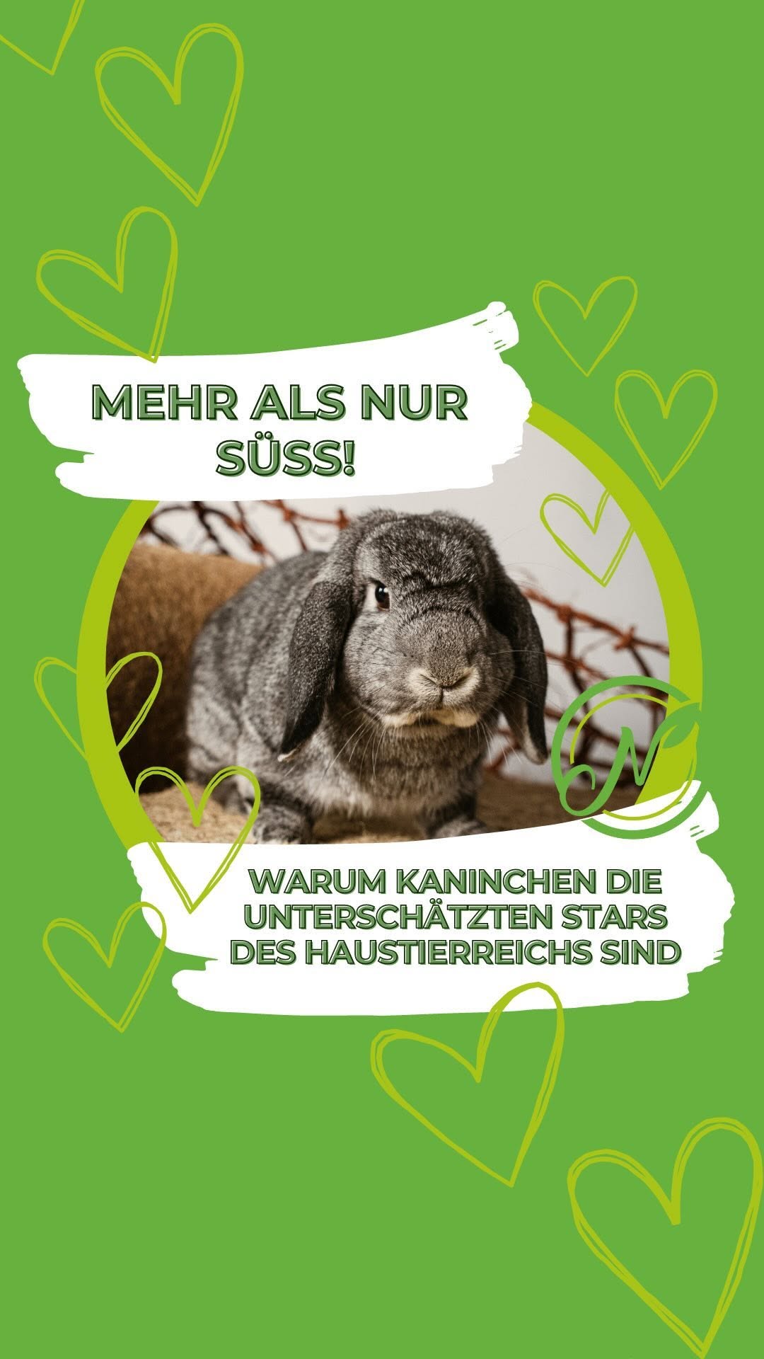 🐰 Mehr als nur SÜSS!