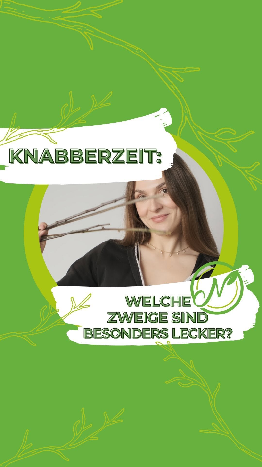 🐰 Knabberzeit: Welche Zweige sind besonders lecker?