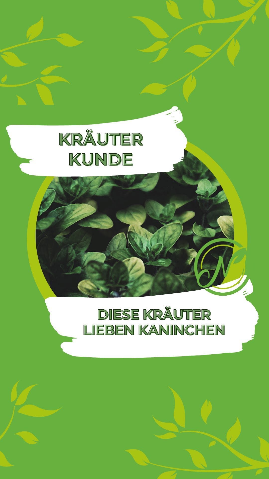 🌿🐰 Kräuterkunde – Diese Kräuter lieben Kaninchen