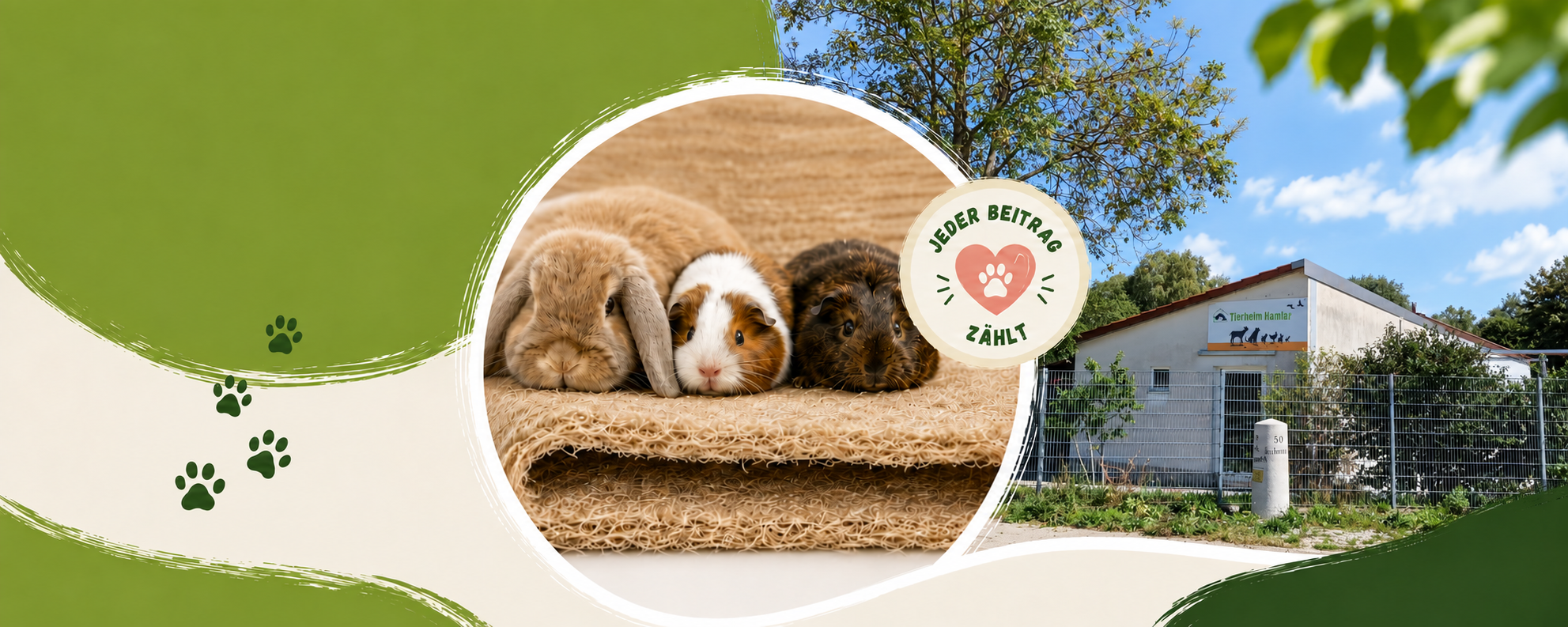 Gemeinsam helfen – unsere neue Unterstützung für das Tierheim Hamlar 🐾