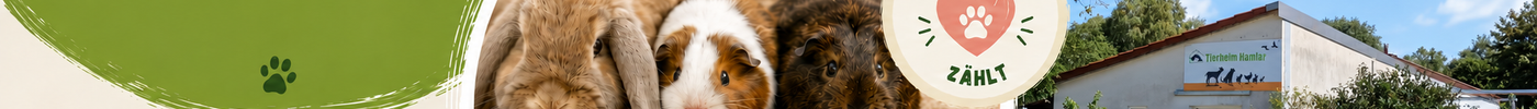 Gemeinsam helfen – unsere neue Unterstützung für das Tierheim Hamlar 🐾