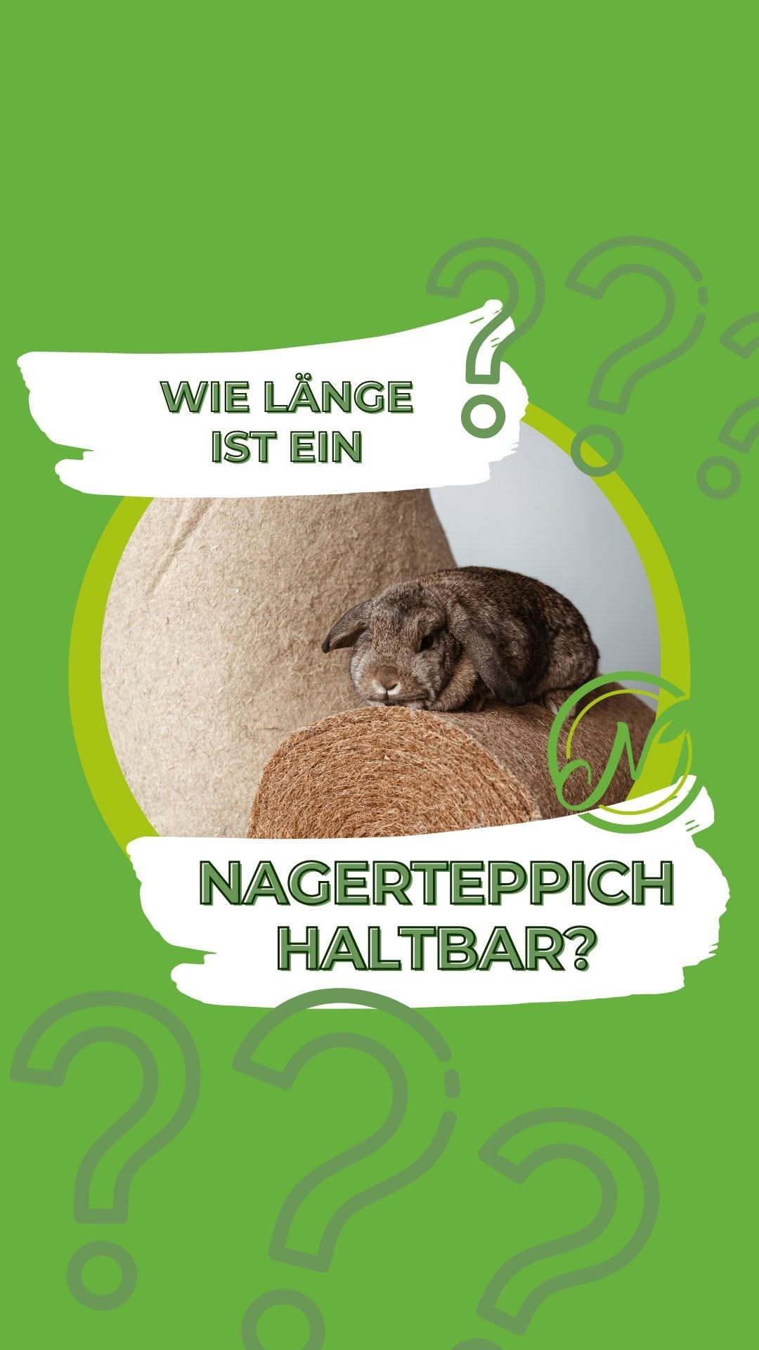 🐾 Wie lange ist ein Nagerteppich haltbar?