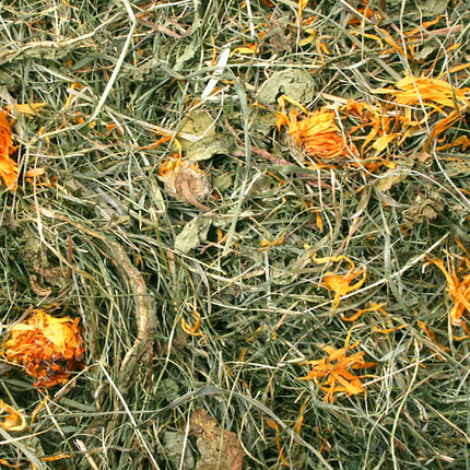 JR FARM Löwenzahnwiese 500 g – Premium-Heu mit Löwenzahn