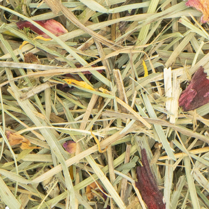 JR FARM Sommerwiese 500 g – Aromatisches Premium-Heu mit Sommerblüten