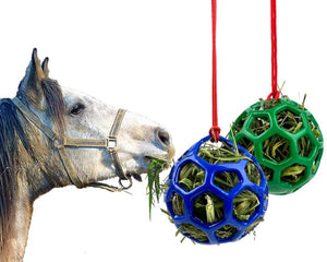 Collection image for: Accesorios para caballos