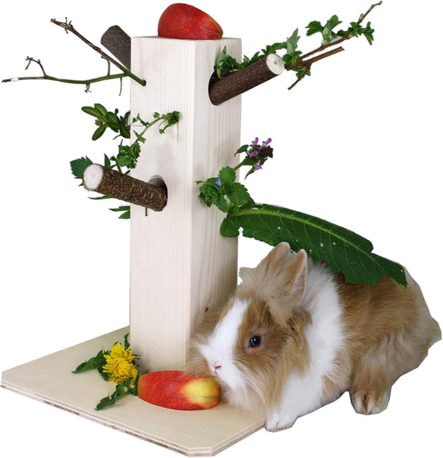 Snackbaum für Kleintiere – Futterspender & Knabberhilfe