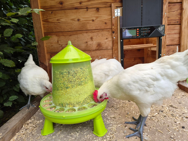 Comedero automático para pollos de 4 kg con patas y mecanismo para colgar.