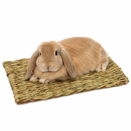Natural grass carpet for small animals, 40x28 cm