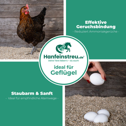 Hanfeinstreu Regular -  100 Liter - Natürlich, saugstark & hygienisch für Hühner