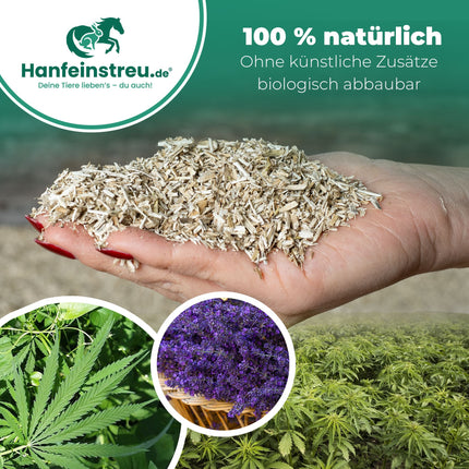 Hanfeinstreu "Lavendel" -  100 Liter - Saugstark, natürlich & duftend für Hühner