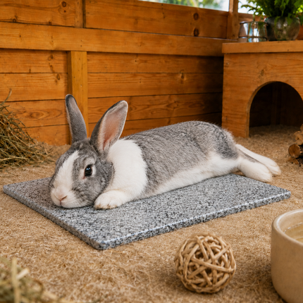 Granite slab for rodents: climate-regulating and maintenance stone, 30x30cm