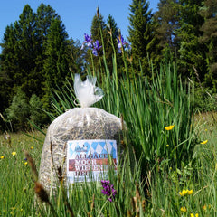 Collection image for: IM ANGEBOT