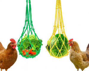 Collection image for: Accesorios para gallinas