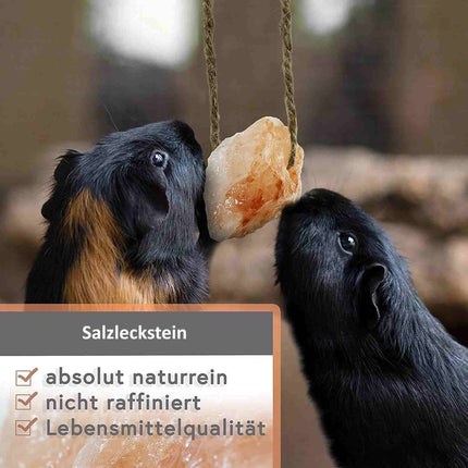 High-quality salt lick stone “Bergkristall” set of 10 lick stones with cord, total weight approx. 1 kg, for rodents