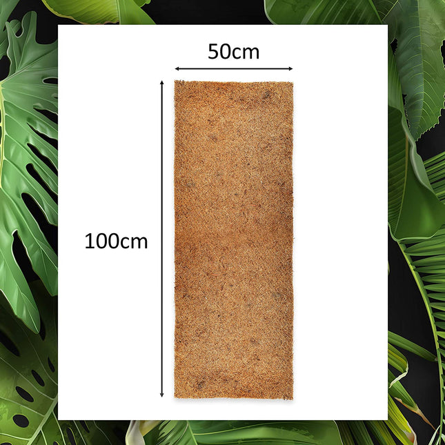 Coconut mat made from 100% coconut fibers 100x50cm with natural latex rodent carpet growing mat